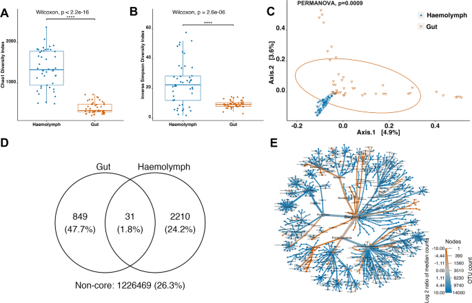 In #AnimalMicrobiome

🔍Investigating the microbiome dynamics associated with Hematodinium sp. infection in Norway lobster🦞

🚨Decreased microbiome richness in smaller healthy hosts suggests potential link between microbiome &amp; disease susceptibility

👉doi.org/pr98