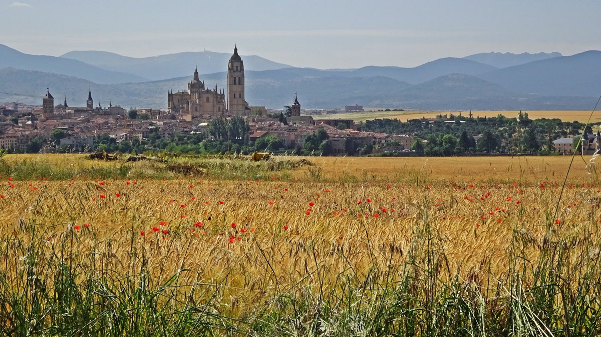 Javier Civantos (@fjcivantos) on Twitter photo Cielos blanquecinos en Segovia y su entorno la sierra de Guadarrama, con presencia de nubes y algo de calima... <a href="/sibilafc/">Silvia Ferrer</a> <a href="/tomeandres/">Andrés Tomé</a> <a href="/TiempoCyLTV/">El Tiempo en CyL</a> <a href="/lasextameteo/">La Sexta Meteo</a> <a href="/tiempobrasero/">Tutiempo</a> <a href="/ElTiempoA3/">El Tiempo de Antena 3</a> <a href="/ElTiempo_tve/">El Tiempo en TVE</a> <a href="/Aemet_Corpora/">AEMET_Corporativa</a> <a href="/MeteoredES/">Meteored | tiempo.com</a> <a href="/CyLEsVida/">Turismo Castilla y León</a> #Segovia #sierradeguadarrama Cielos blanquecinos en Segovia y su entorno la sierra de Guadarrama, con presencia de nubes y algo de calima... <a href="/sibilafc/">Silvia Ferrer</a> <a href="/tomeandres/">Andrés Tomé</a> <a href="/TiempoCyLTV/">El Tiempo en CyL</a> <a href="/lasextameteo/">La Sexta Meteo</a> <a href="/tiempobrasero/">Tutiempo</a> <a href="/ElTiempoA3/">El Tiempo de Antena 3</a> <a href="/ElTiempo_tve/">El Tiempo en TVE</a> <a href="/Aemet_Corpora/">AEMET_Corporativa</a> <a href="/MeteoredES/">Meteored | tiempo.com</a> <a href="/CyLEsVida/">Turismo Castilla y León</a> #Segovia #sierradeguadarrama