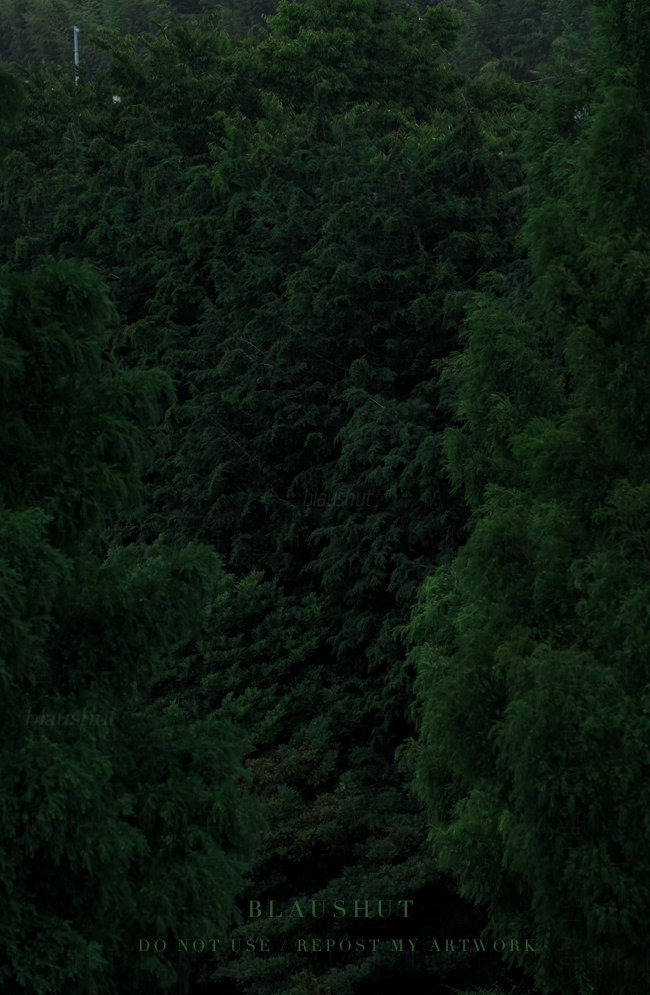 비가 지나간 자리는 녹색이 범람하고