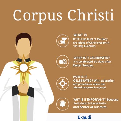 Corpus Christi: the feast of love that stays 💛
Through the Eucharist, Christ walks with us every day.
Faith, hope, and charity made visible.