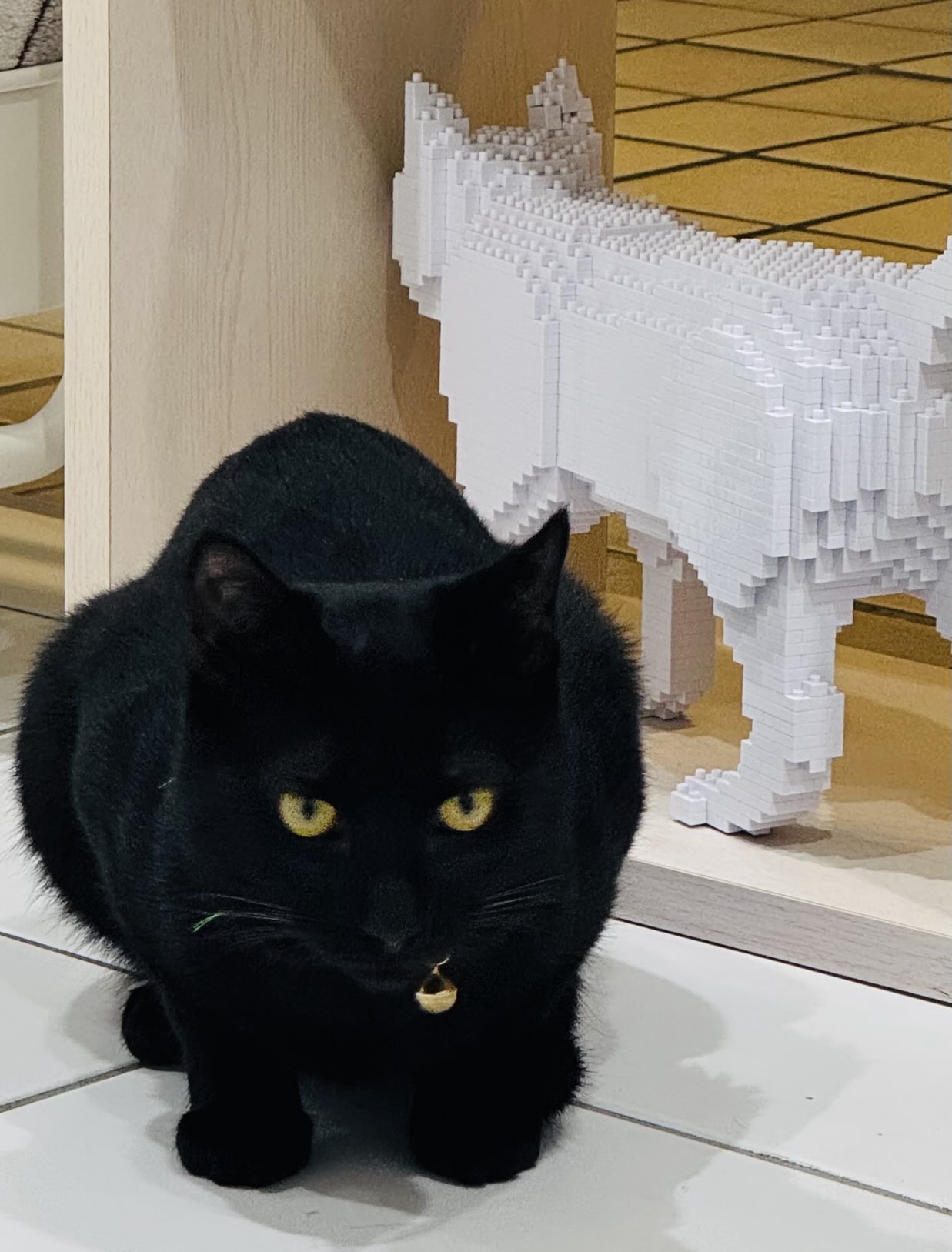 白猫と黒猫シリーズ　冬景色 Amazon.co.jp: 白猫と黒猫シリーズ 冬景色 : Toys & Games