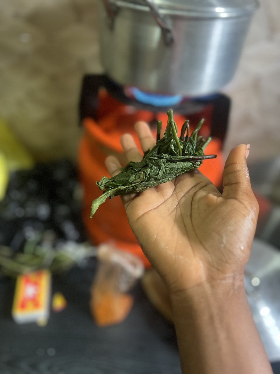 UbahFaith2's tweet photo. 200 naira Ugu leaf in Gombe state 💀😭 Nigeria, this is my last straw 😭 https://t.co/MOBs8xR3H8