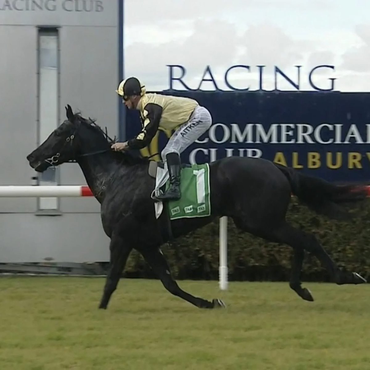 Winter Winners ❄️ 🥶 

Magnolia Star &amp; Bessie La Belles. The stables last 2 winners saluting on heavy tracks.