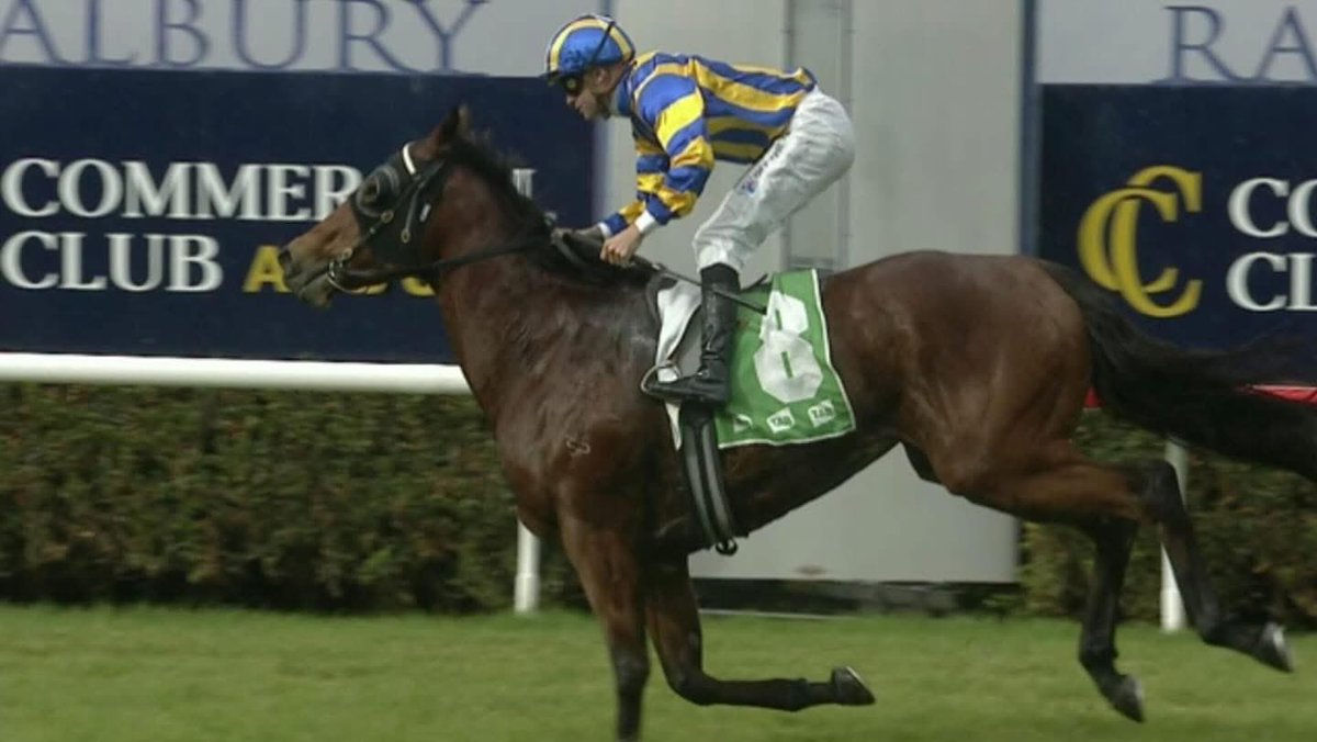 Hazel Park Racing tweet media