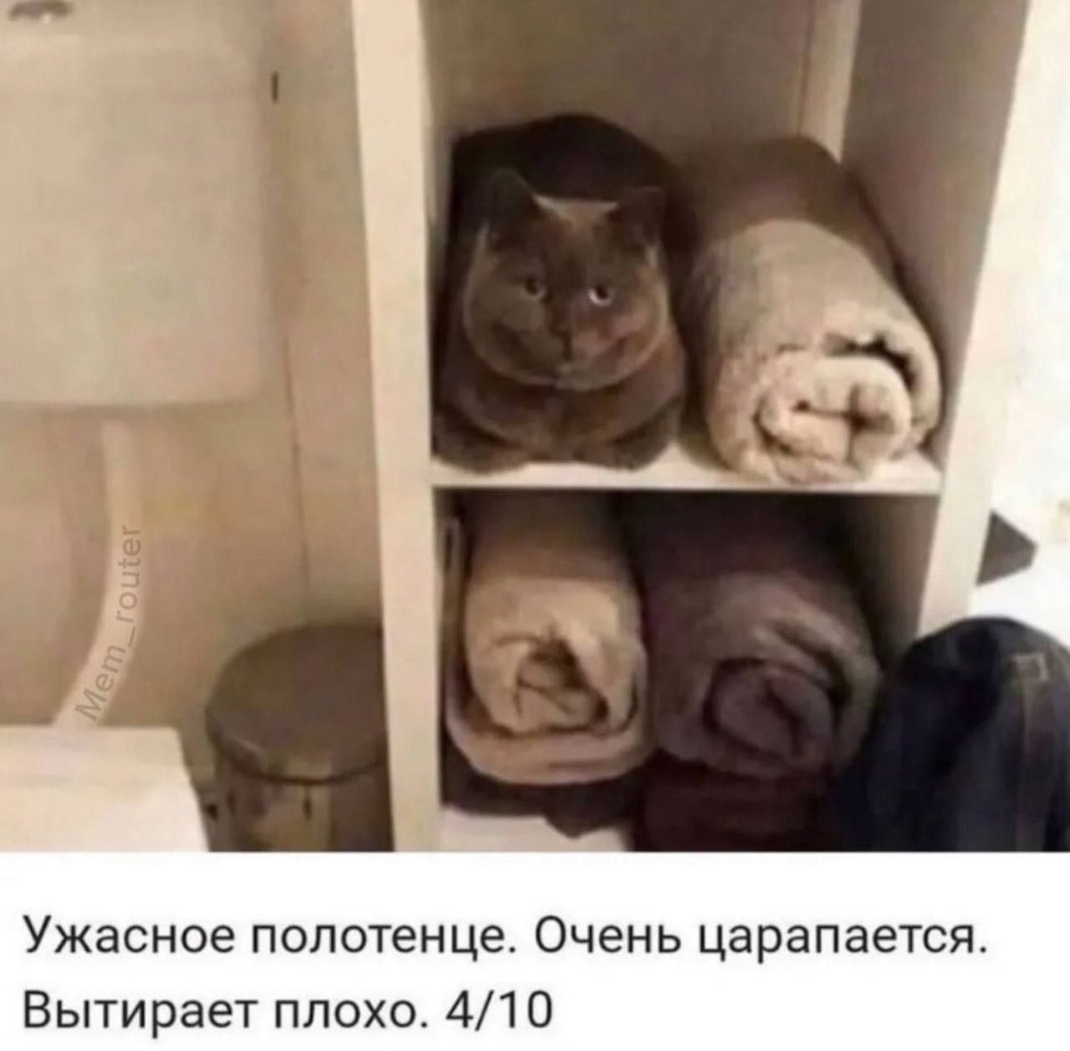 ... terrible towel. very scratchy. wipes badly...
🐱good day &amp; cheerful mood to everyone!❤️