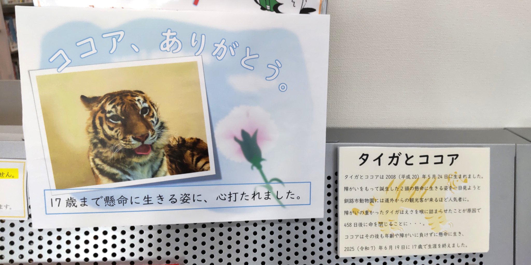 釧路市図書館【公式】 on X: 