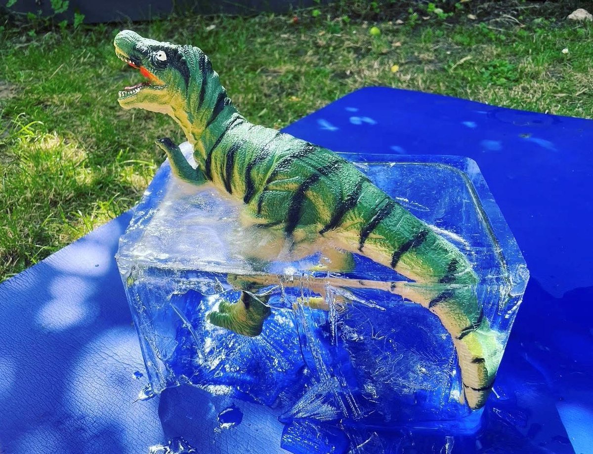 A simple provocation: 

•freeze a small toy (like this dino) in a block of ice.
•Offer warm water, pipettes, spoons or brushes.
•Observe melting, explore change, encourage prediction + language.

Science in action, led by curiosity.

#EarlyYears #STEM