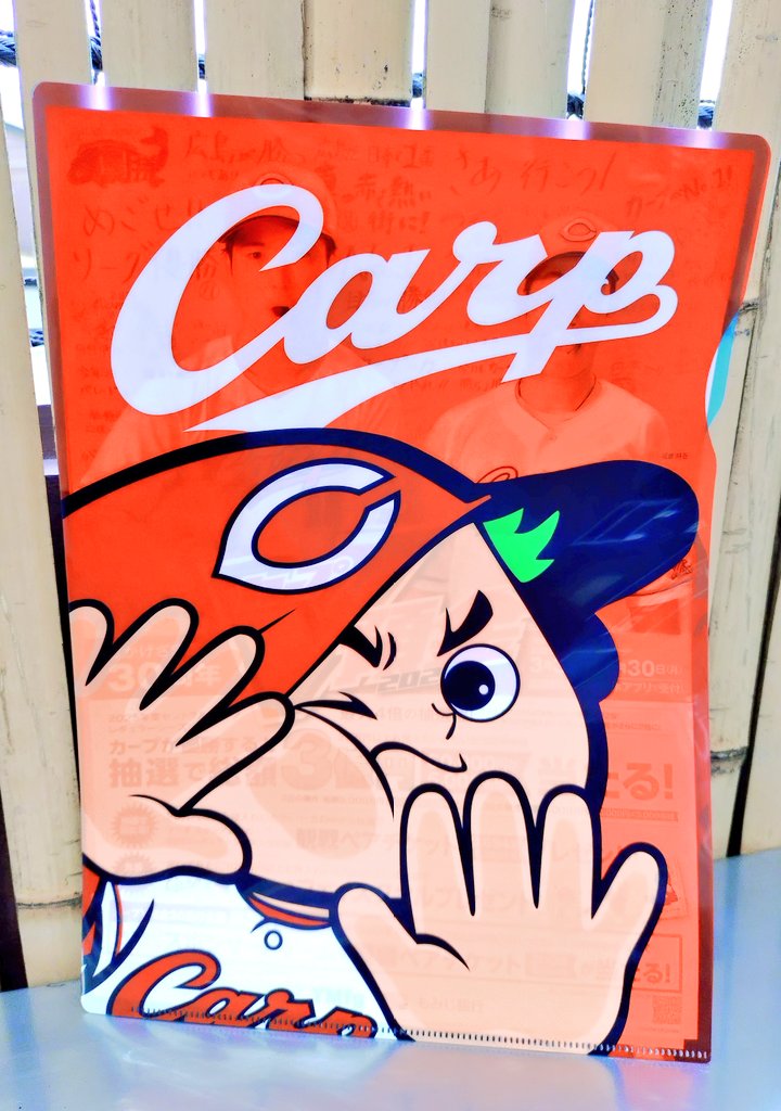 ニケ♂Lv38⚾カープ🎏2025年【51勝63敗4引】NEXT