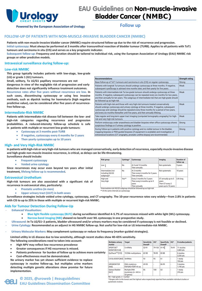 🧾 Cheat Sheet on Follow-up for NMIBC

🔹 Risk-based surveillance
🔹 Lifelong follow-up for high-risk patients
🔹 Role of cytology &amp; markers
🔍 No substitute for cystoscopy

Download Cheat Sheet:
uroweb.org/guidelines/non…

#BladderCancer #NMIBC #EAUguidelines