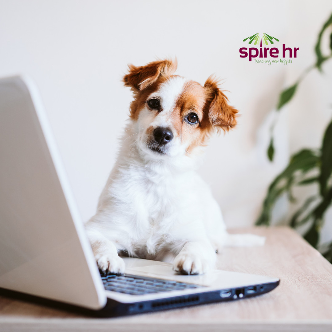 Spire HR Solutions tweet media