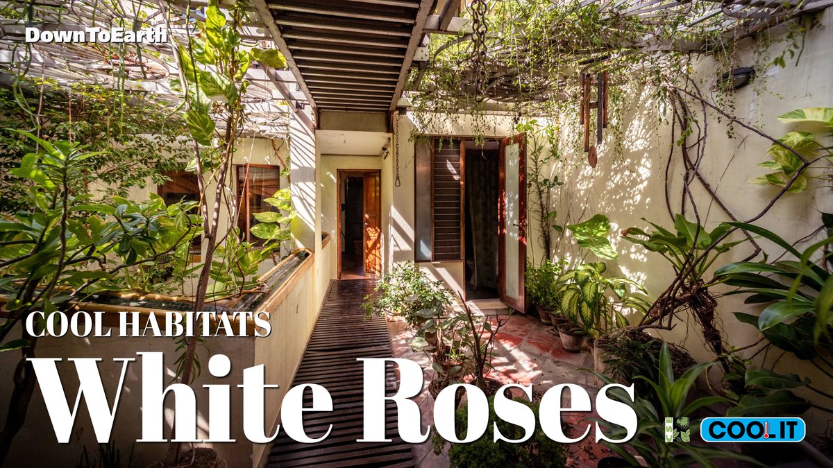 Get ready for the 2nd episode of the ‘Cool Habitats’ series! Discover the story of a simple yet serene 3-storey home in Pondicherry that doesn’t try to impress—but makes you feel right at ease and truly connected with nature. Featuring a courtyard, a stream, a valley, a bridge,
