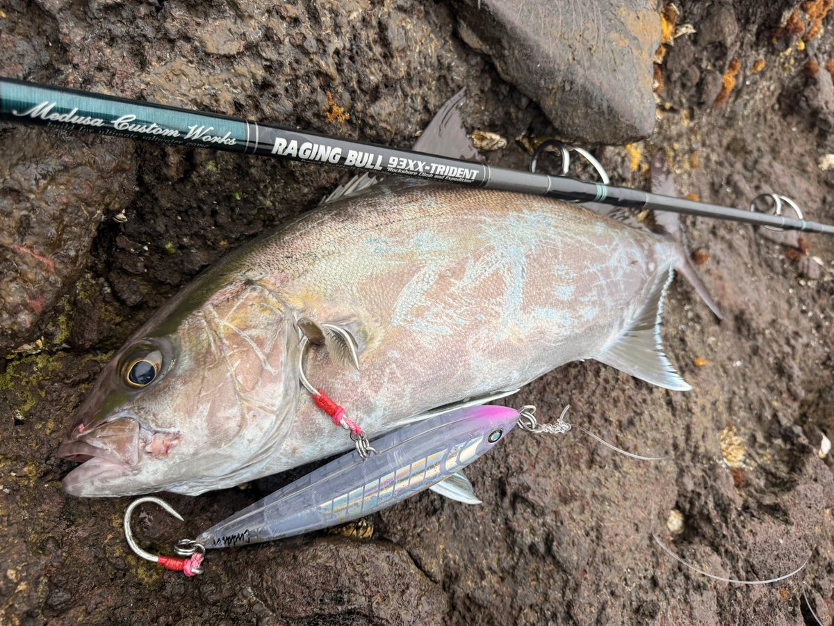 murachio's tweet image. カドラー200