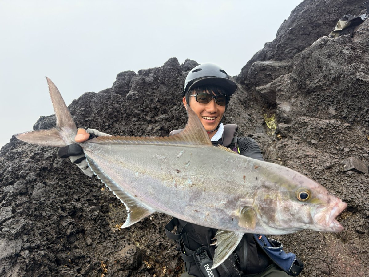 murachio's tweet image. カドラー200