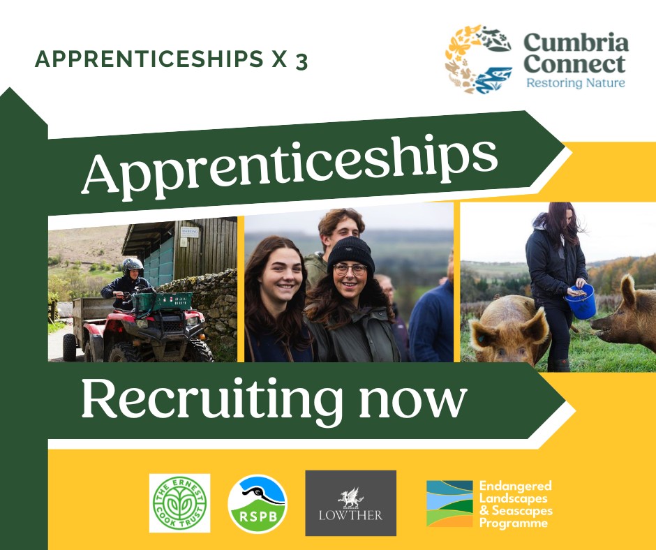 LANSS_uk's tweet image. Are you looking to develop your knowledge of nature friendly farming? The Cumbria Connect Apprenticeship Scheme works across some of Cumbria’s most iconic landscapes with local employers;@Natures_Voice, @ernestcooktrust, and Lowther Estate.
Find out more:lanss.uk/opportunities/…