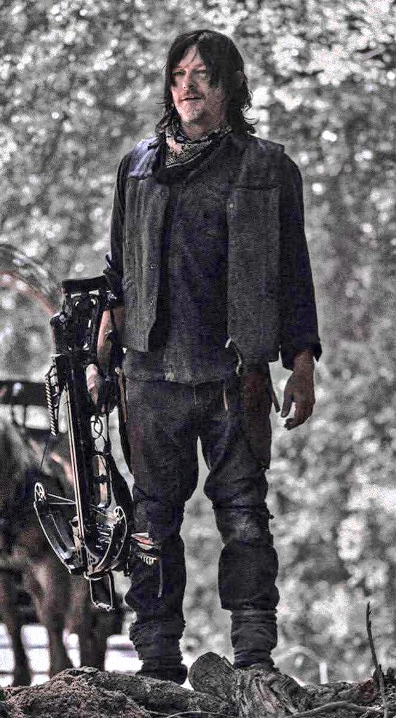 #DarylDixon #thewalkingdead #Twd #twdfamily #NormanReedus