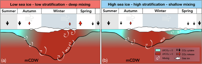 CommsEarth's tweet photo. Sea ice controls net ocean uptake of carbon dioxide by regulating wintertime stratification https://t.co/VEK0VKxRMk https://t.co/Je9Jr52dY5