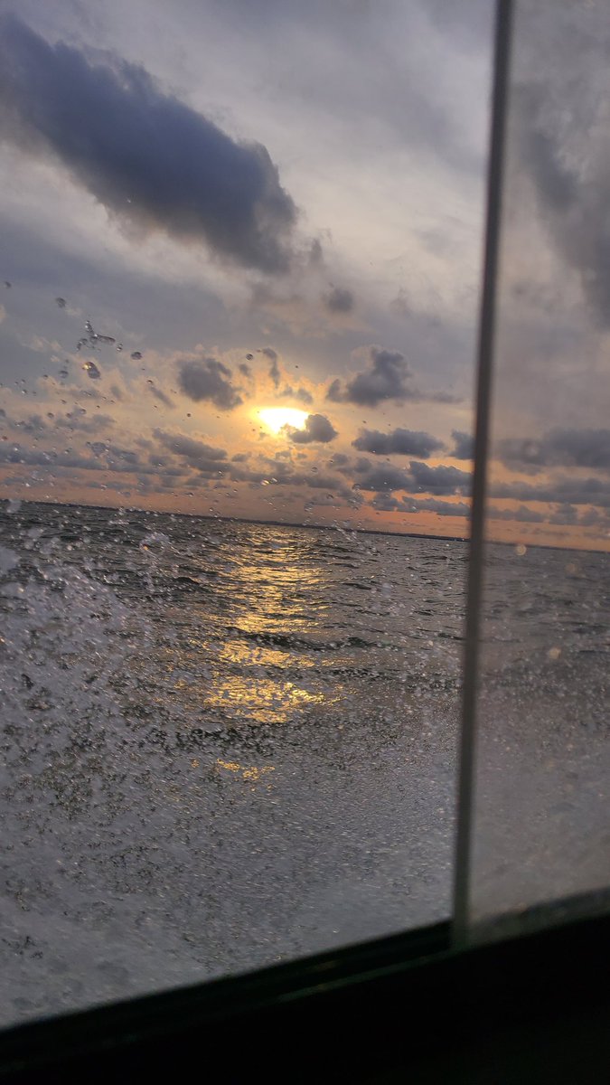 I take great pictures.