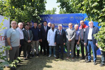 Sakarya’da Kahverengi Kokarca ile Mücadele Başladı