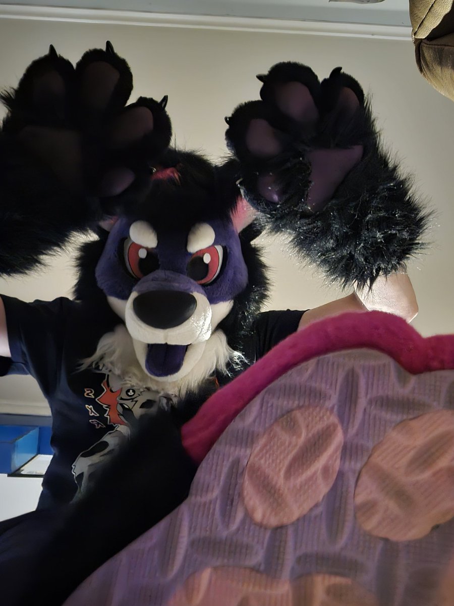 <a href="/furrjoi01/">FURRJOI</a>