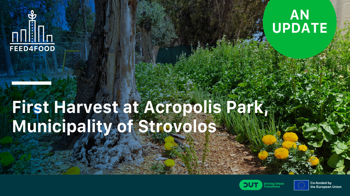 First harvest in Strovolos! Acropolis Park delivered its first vegetables, donated to Agia Marina Elderly Home. Discover more here: lnkd.in/dj--pjfh #Feed4Food  #Strovolos
<a href="/AREA_Innovation/">AREA</a>
<a href="/Apodissi_Intl/">Apodissi</a>
@DiSCDigitalSus1
<a href="/GERiLAB12/">GERi LAB</a>
<a href="/acwfs_VU/">Amsterdam Centre for World Food Studies</a>
<a href="/StrovolosM/">Strovolos_Municipal</a>
<a href="/enosikiriondra1/">ΕΝΩΣΗ ΚΥΡΙΩΝ ΔΡΑΜΑΣ</a>