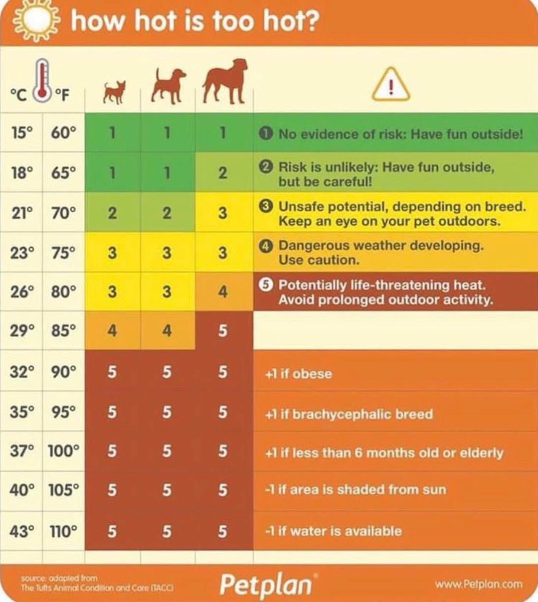 Graeme Hall (@graemedogfather) on Twitter photo As temperatures rise โ๏ธso how hot is too hot?
Refer to this very handy guide when thinking of walking your dogs, as we head into some very hot weather!
#heatwave #summer #dogs
<a href="/PetplanUK/">Petplan UK</a> As temperatures rise โ๏ธso how hot is too hot?
Refer to this very handy guide when thinking of walking your dogs, as we head into some very hot weather!
#heatwave #summer #dogs
<a href="/PetplanUK/">Petplan UK</a>