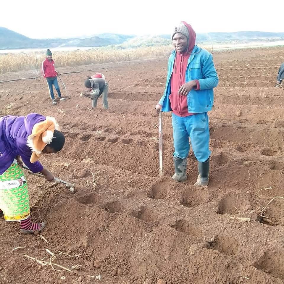 Land preparation is important to ensure that the  seeecrop is ready for planting. A well-prepared field controls weeds, recycles plant nutrients, and provides a soft soil mass for transplanting and a suitable soil surface for direct seeding. 🌱👨‍🌾🌾

Land preparation covers a wide