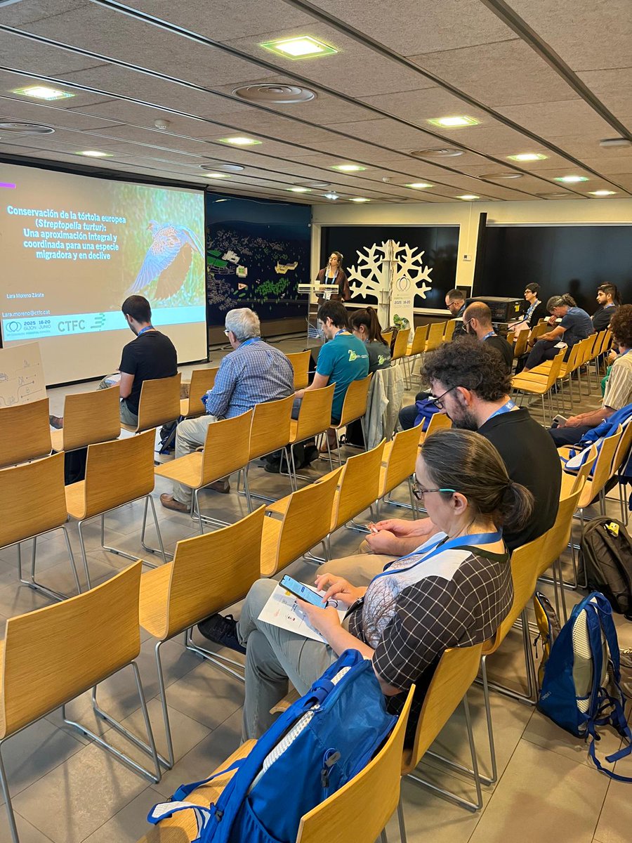 ctforestal's tweet photo. 🌲 #CTFC9CFE
Lara Moreno-Zárate @GBiC_CTF inaugura el 4º día con una ponencia sobre la tórtola europea (Streptopelia turtur) 🐦 Presenta una visión integral para conservar la especie migradora transahariana en fuerte declive y clasificada como “vulnerable” por la @IUCNRedList https://t.co/HOQO9ldc2E