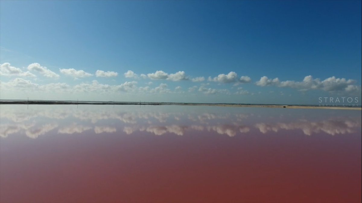 #RecomendaciónViajera “Las Coloradas, Yucatán, México” impresionante vídeo de <a href="/PpCarbajal/">Pepe Carbajal R.</a> #LasColoradas f.mtr.cool/dnrnqsgijs