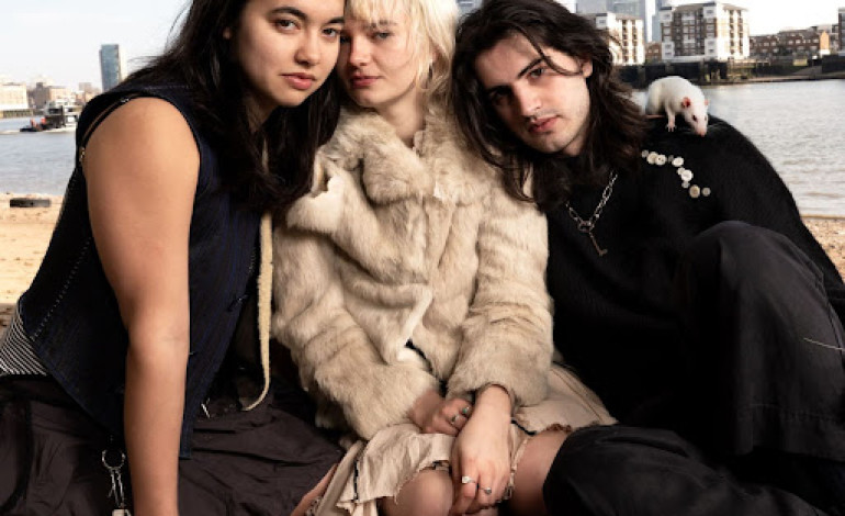 Mary In The Junkyard Release Gritty New Single ‘Drains’
mxdwn.co.uk/news/mary-in-t…
#rockmusic #experimental #ukmusic