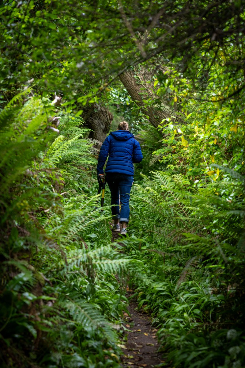 Adam Harrison tweet media