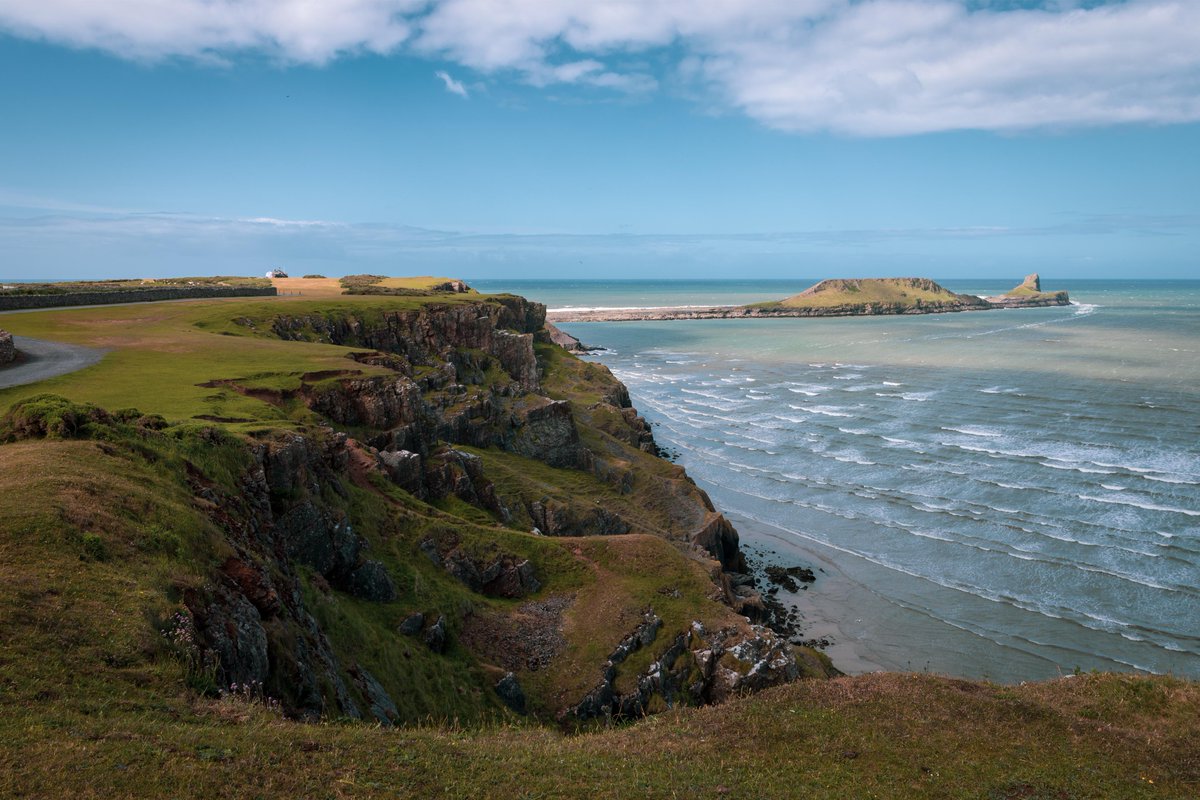 Adam Harrison tweet media