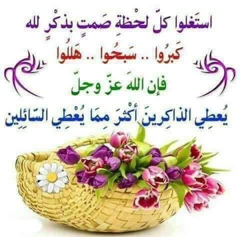 Cap.Mohammed Nasr (@capmohammedna13) on Twitter photo 