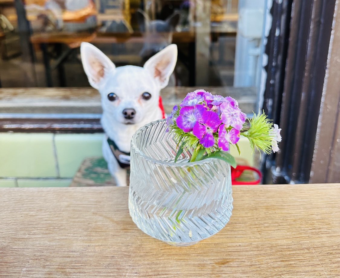 Ok ok,
Too much Negativism!

Here is a Flower for „Ya All“

Be kind,always!