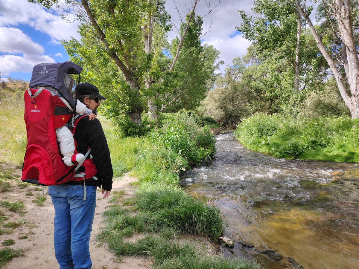 Si sientes pasión por los paseos por el campo, el senderismo,  patear el monte y tienes un bebé no hace falta que reniegues de esos momentos… con las mochilas #portabebé de #LittleLife podrás llevar a tu retoño de una forma cómoda y ergonómica...