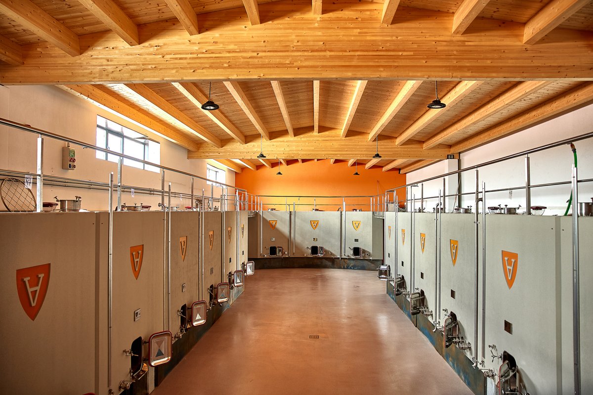 Una de las claves de la frescura en los vinos de Valderiz está en la vendimia temprana y en el uso de depósitos de hormigón que conservan la fruta.

Las demás... son secreto de familia 😉

#valderiz #viñedo #organicwines #riberadelduero #familiavalderiz