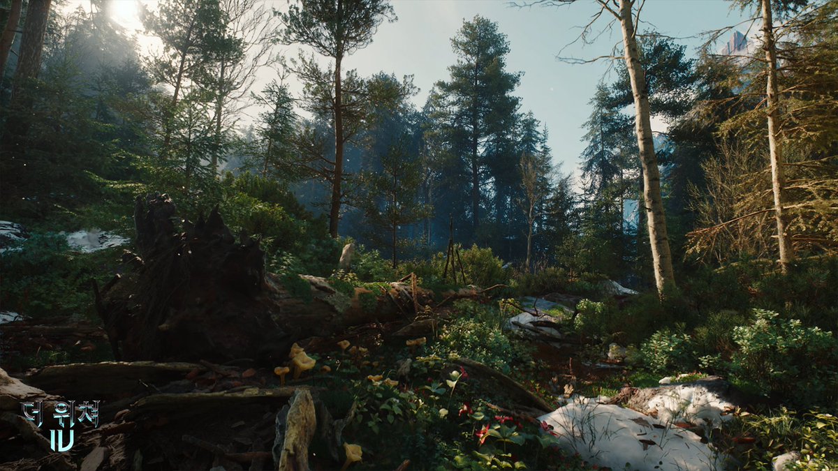 CDPRKR's tweet image. 코비어 탐험을 기다리시는 분들을 위해 준비했습니다 🌲⛰️
더 위쳐 기술 데모의 새로운 배경 화면을 지금 확인해 보세요: thewitcher.com/witcher4