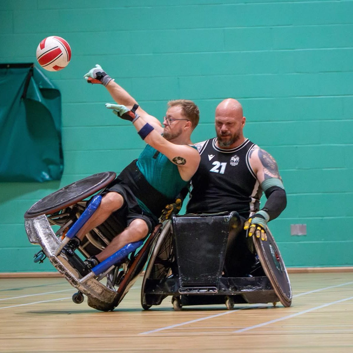 Ospreys tweet media
