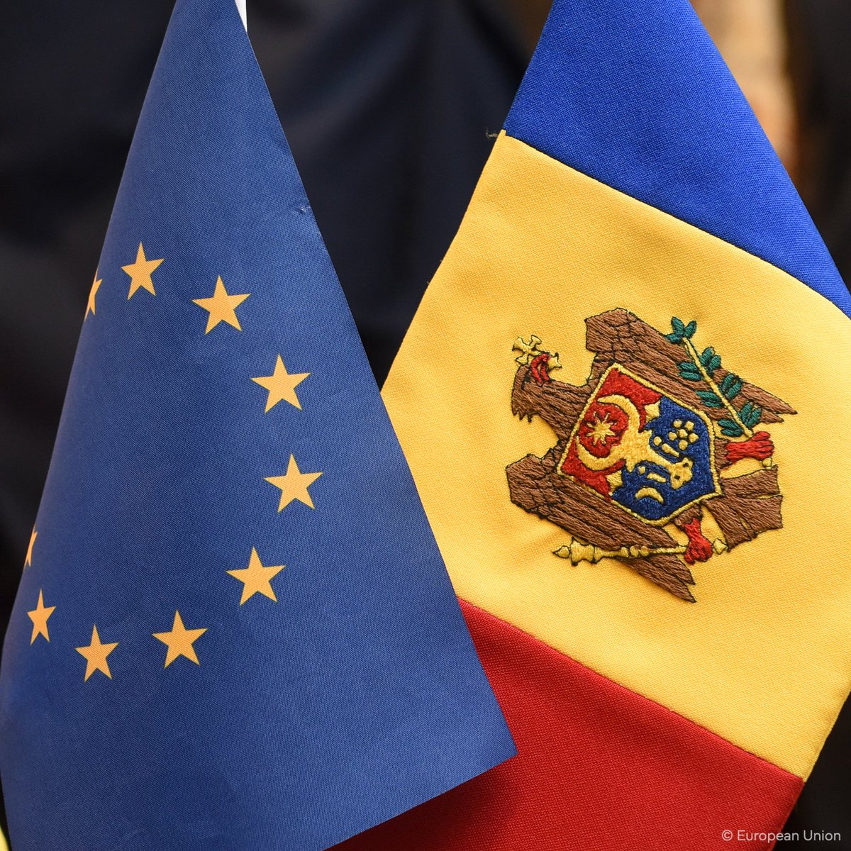 Europarl_EN's tweet photo. MEPs have adopted their first report on Moldova’s progress towards EU membership since it became a candidate to join in 2022. #Moldova has shown exemplary commitment to advancing its progress towards EU membership.

Learn more: https://t.co/sJ10Wyspin https://t.co/sbwVQSdU53