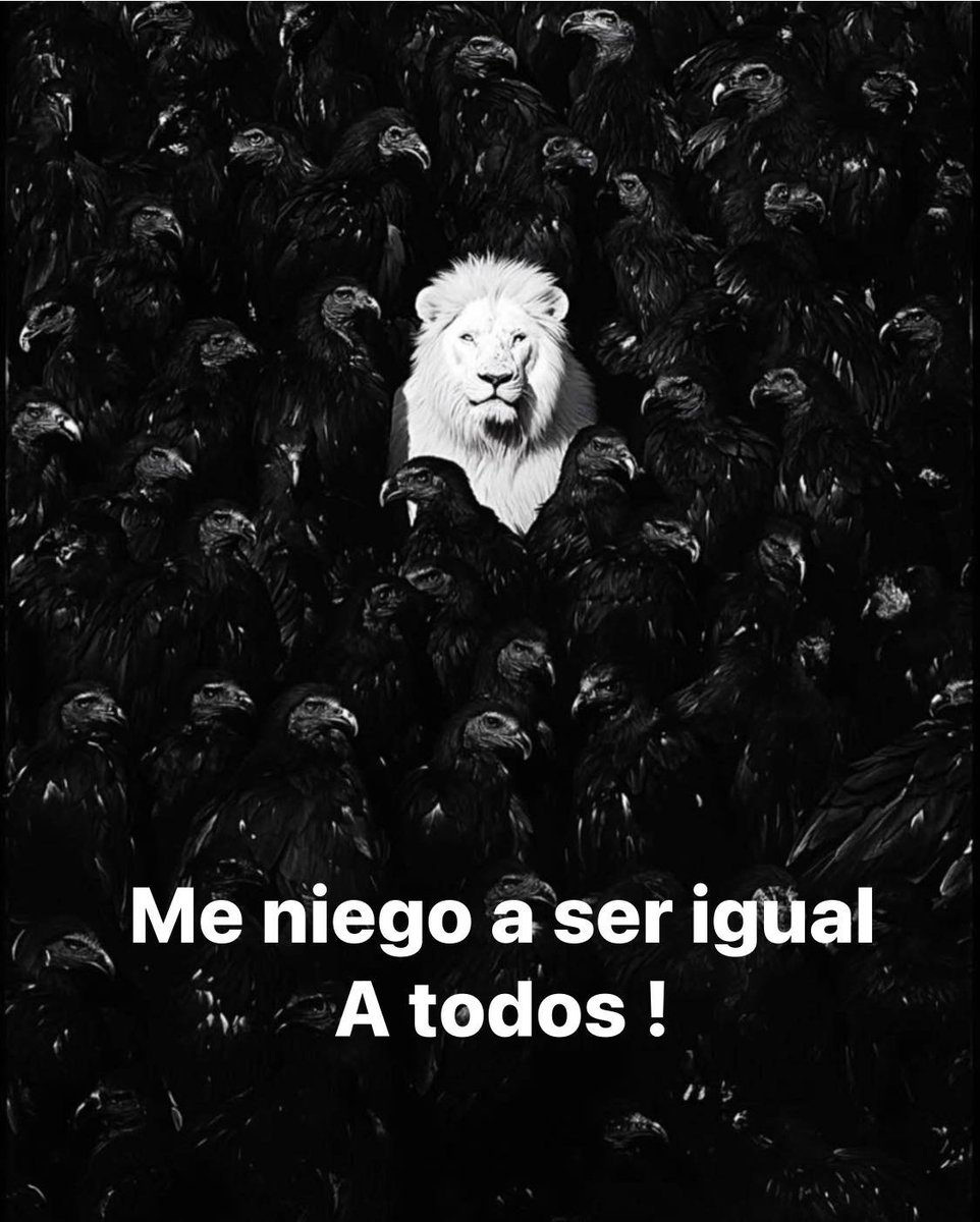 BANDIDOS (@bandidosfrasess) on Twitter photo 