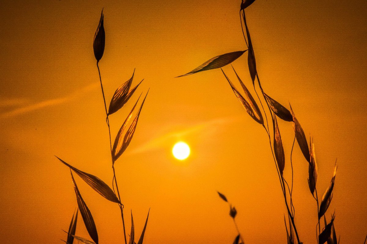 jose pujol (@josep_pujol1) on Twitter photo Amanecer caluroso hoy jueves desde #CarrascosaDelCampo #CastillaLaMancha #ColboradoresDelTiempo 19/6/25 <a href="/ElTiempoCMM/">El Tiempo CMM</a> <a href="/ElTiempo_tve/">El Tiempo en TVE</a> <a href="/ElTiempoA3/">El Tiempo de Antena 3</a> <a href="/lasextameteo/">La Sexta Meteo</a> <a href="/aquilatierratve/">Aquà la Tierra</a> <a href="/el_tiempohoy/">El Tiempo Hoy</a> <a href="/AEMET_CLaMancha/">AEMET_Castilla-La Mancha</a> <a href="/HimarGonzalez/">Himar Gonzålez</a> <a href="/fcocachometeo/">Francisco Cacho</a> <a href="/BelenSamper_/">Belén Samper</a> <a href="/CesarGonzaloGar/">César Gonzalo</a> Amanecer caluroso hoy jueves desde #CarrascosaDelCampo #CastillaLaMancha #ColboradoresDelTiempo 19/6/25 <a href="/ElTiempoCMM/">El Tiempo CMM</a> <a href="/ElTiempo_tve/">El Tiempo en TVE</a> <a href="/ElTiempoA3/">El Tiempo de Antena 3</a> <a href="/lasextameteo/">La Sexta Meteo</a> <a href="/aquilatierratve/">Aquà la Tierra</a> <a href="/el_tiempohoy/">El Tiempo Hoy</a> <a href="/AEMET_CLaMancha/">AEMET_Castilla-La Mancha</a> <a href="/HimarGonzalez/">Himar Gonzålez</a> <a href="/fcocachometeo/">Francisco Cacho</a> <a href="/BelenSamper_/">Belén Samper</a> <a href="/CesarGonzaloGar/">César Gonzalo</a>