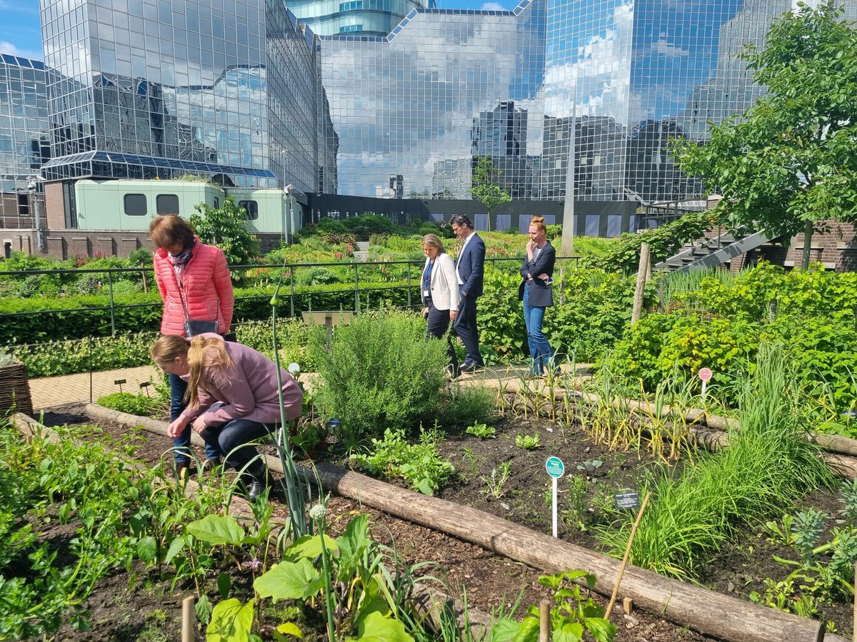 Wie met de trein naar de Open Tuinendag komt kan zijn route direct starten bij de RaboTuin. Achter de spiegelende gebouwen van Rabobank Utrecht bevindt zich een groene oase! Werknemers kunnen ontspannen in de pluktuin vol bloemen, planten en kruiden. opentuinendagutrecht.nl