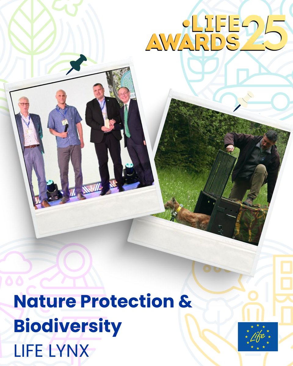 LIFEProgramme's tweet photo. Double win for #EUBiodiversity! 🥳
#LIFEProject LIFE Lynx took home the #LIFEAwards25 for Nature Protection & Biodiversity plus the Citizen’s Prize!
🔗Read about their Alpine lynx conservation efforts 👏: https://t.co/SYQePLGE2p
#EUBiodiversity #LIFEProgramme https://t.co/UuxXakFsit