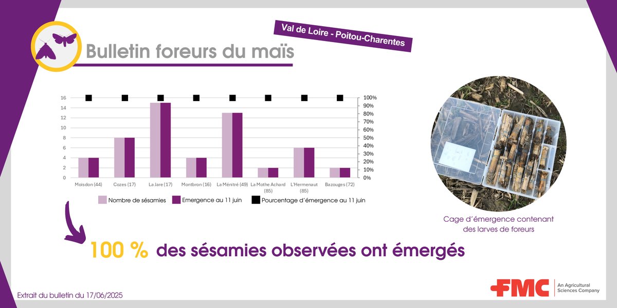 Bulletin foreurs du maïs 🌽

📍Val de Loire &amp; Poitou-Charentes

Zoom sur l'observation de nos cages d'émergence 
🐛👀 

📲Bulletins régionaux en intégralité disponible sur l'app Arc farm intelligence