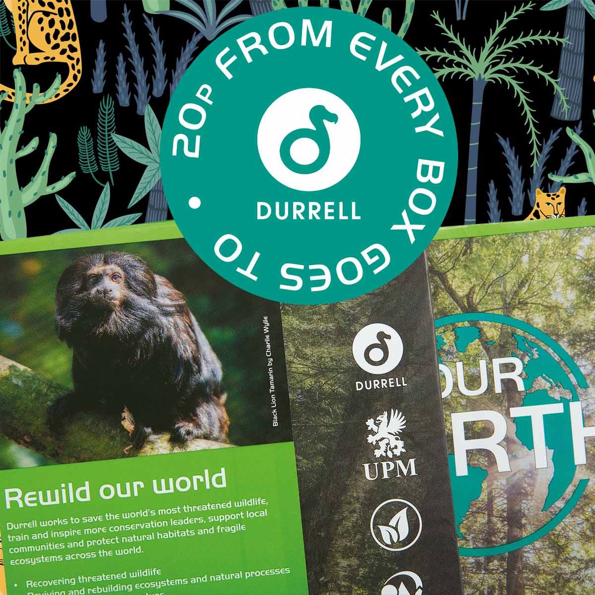 Print with purpose. Our Earth copier paper supports the Durrell Conservation Trust with every ream. Small change, big impact. Contact us to place your order today. #PrintSustainably #OurEarthPaper #FusionOffice