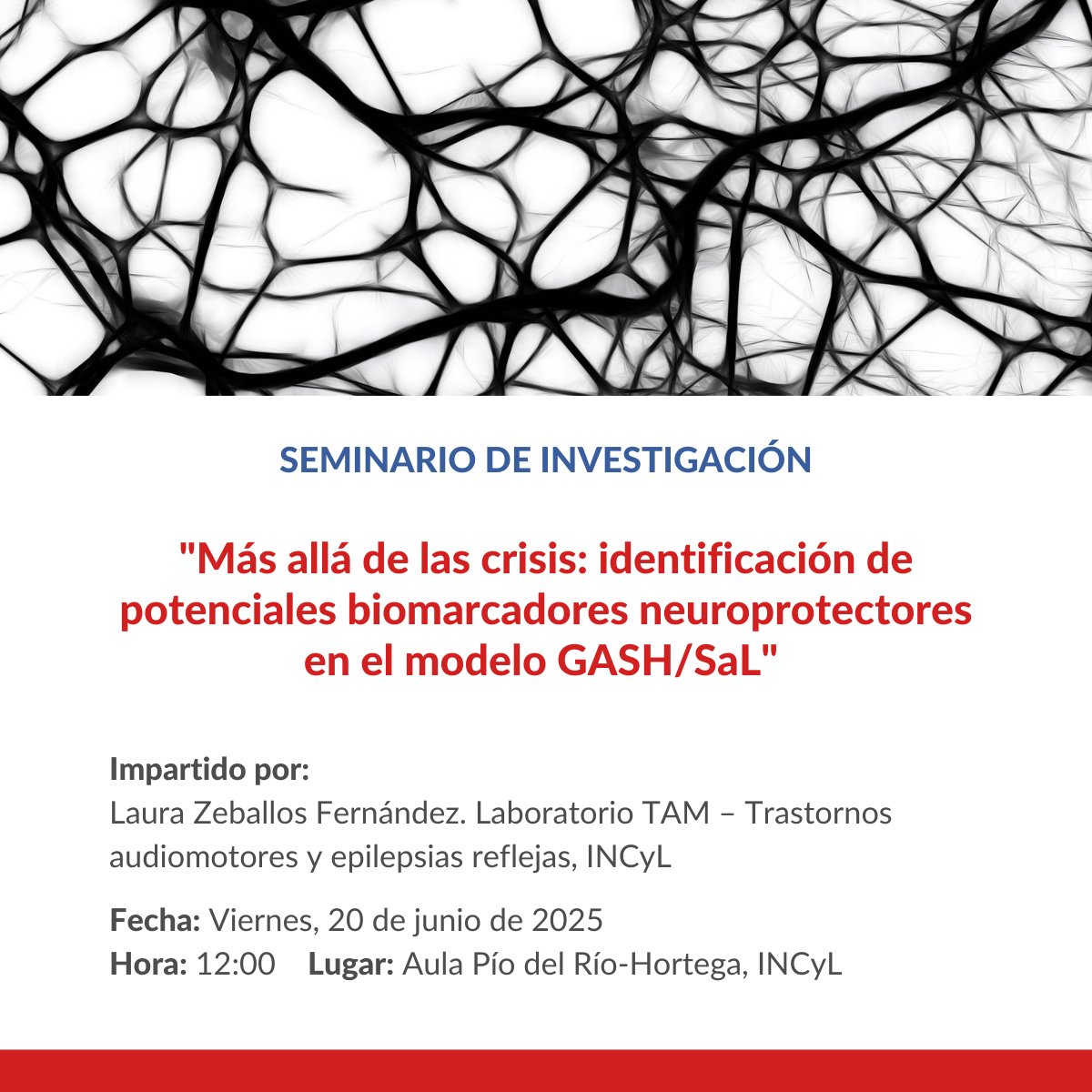 #SeminarioDeInvestigación 🔬 | El <a href="/Incyl_Usal/">INCYL</a> organiza el seminario "Más allá de las crisis: identificación de potenciales biomarcadores neuroprotectores en el modelo GASH/SaL".

🗣️ Impartido por Laura Zeballos Fernández. Laboratorio TAM – Trastornos audiomotores y epilepsias