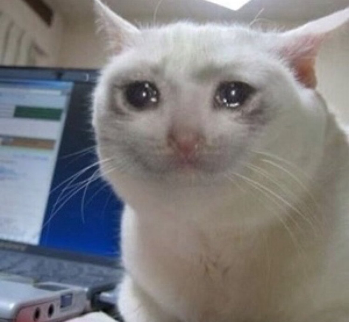 chavalas que he conseguido entradas para ver a <a href="/Delaportemusic/">Delaporte</a> ❤️‍🩹❤️‍🩹

solo tengo ganas de llorar porque, por fin, voy a ver en directo a esas dos personas que me han salvado de la depresión