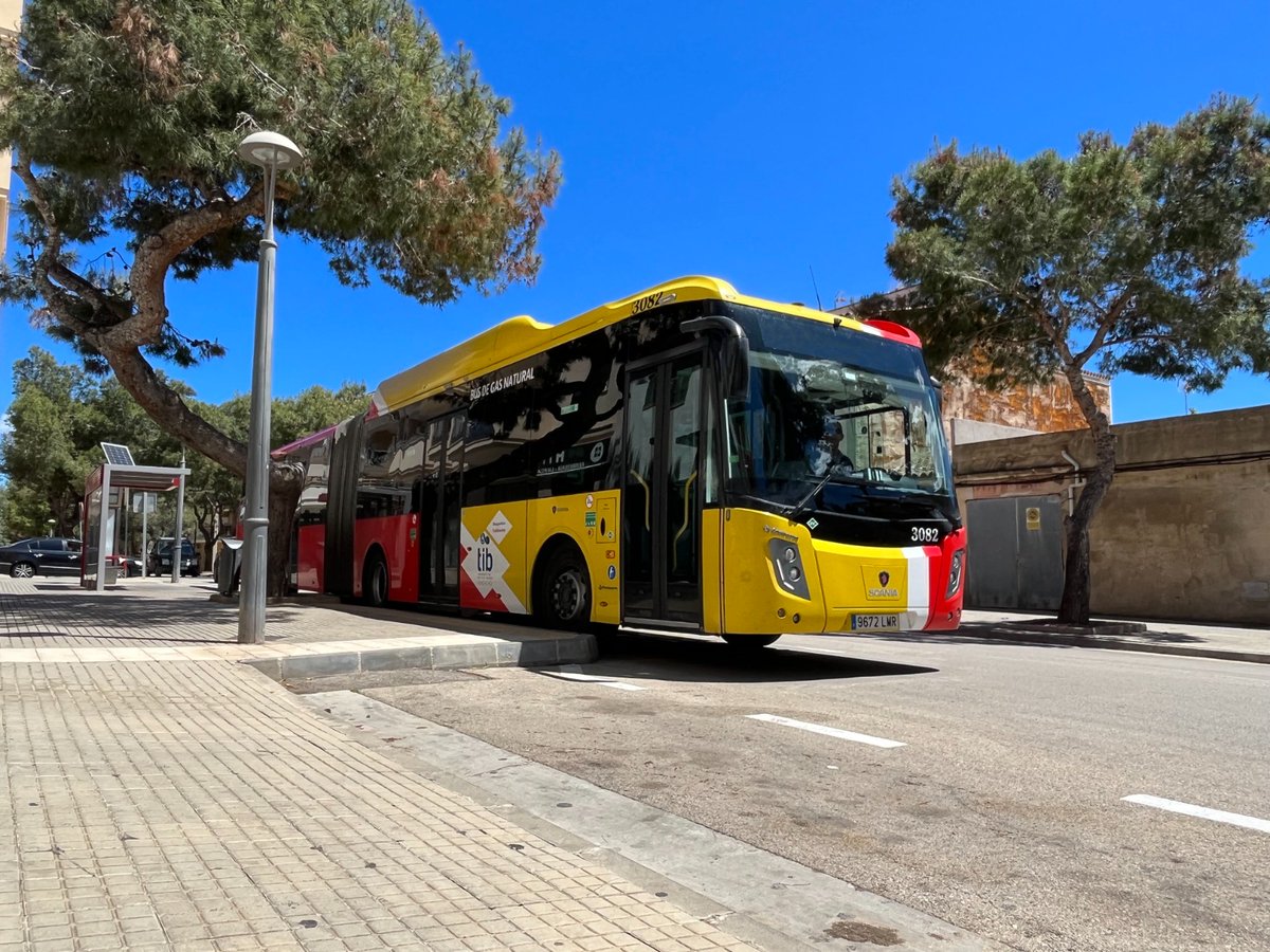 El Govern crea una nova línia exprés del TIB que connectarà Cala d’Or amb Palma a partir de dimarts 24 de juny

Nota de premsa ➡️ tn.caib.es/515eCaladOr
