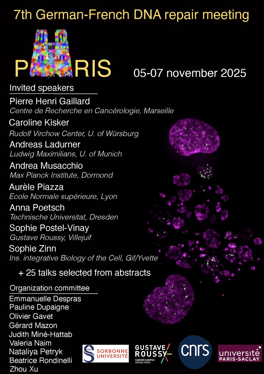 schumacherbj's tweet image. Register now for the 7th German-French DNA Repair Meeting, which will take place at the Campus Pierre et Marie Curie of Sorbonne University in Paris, France, from 5–7 November 2025. premc.org/dnarepair2025/…