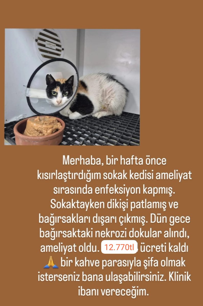 Merhaba, destek olmak isterseniz bana dm atabilirsiniz.