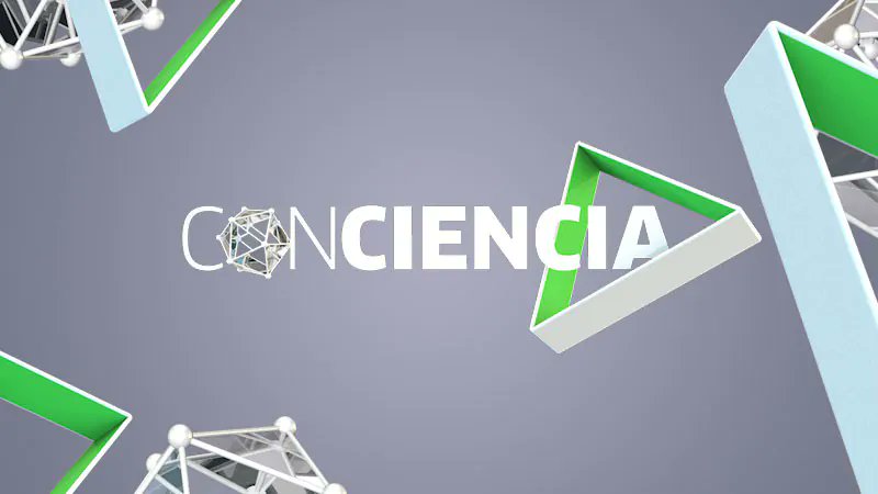 woodforfuture's tweet image. 🌳 Los árboles pueden ser clave frente al calor y la #contaminación en nuestras ciudades
📺 El programa #ConCiencia de @canalsur destaca el papel del #chopo como aliado climático y muestra los avances del proyecto @woodforfuture
▶️ life-woodforfuture.eu/documentacione…
#LIFEproject